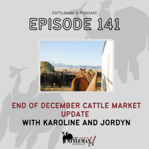 End of December Cattle Market Update with Karoline and Jordyn