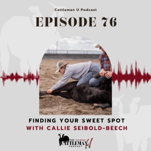 Finding Your Sweet Spot with Callie Seibold-Beech