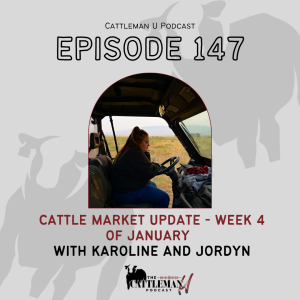 Cattle Market Update - Week 4 of January with Karoline and Jordyn