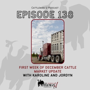 First Week of December Cattle Market Update with Karoline and Jordyn