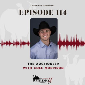 The Auctioneer with Cole Morrison