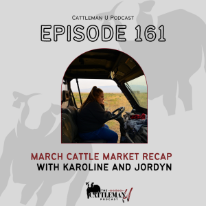 March Cattle Market Recap with Karoline and Jordyn
