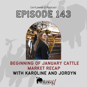 Beginning of January Cattle Market Recap with Karoline and Jordyn