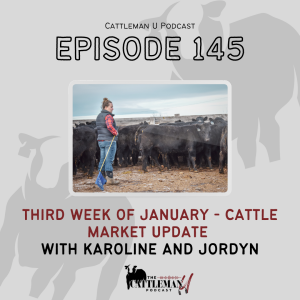 Third Week of January - Cattle Market Update with Karoline and Jordyn
