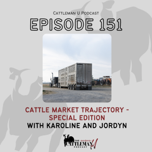 Cattle Market Trajectory - Special Edition with Karoline and Jordyn