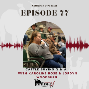 Cattle Buying Q & A with Karoline Rose and Jordyn Woodburn