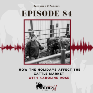 How the Holidays Affect the Cattle Market with Karoline Rose