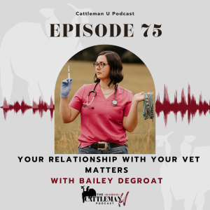 Your Relationship with Your Vet Matters with Bailey DeGroat
