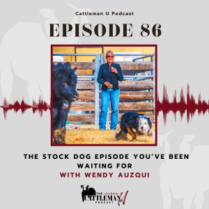 The Stock Dog Episode You’ve Been Waiting for with Wendy Auzqui