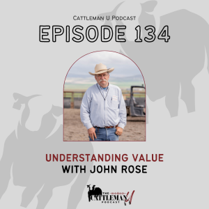 Understanding Value with John Rose