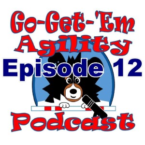 Episode 12: FAST and Gamblers Agility Classes, Not For New Handlers
