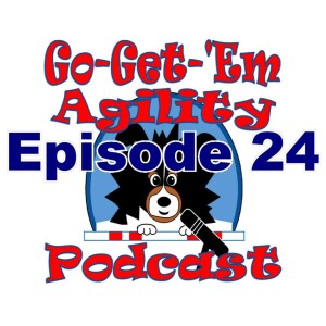 Episode 24: Beginner Agility Questions
