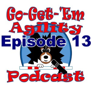 Episode 13: Why I Love Agility