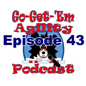 Episode 43: Agility is Confusing