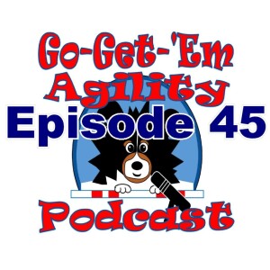 Episode 45: Introducing Teeter Training in New Locations