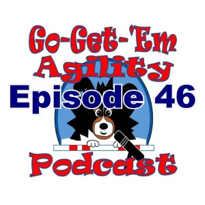 Episode 46: Top 5 Training Skills for Dogs and Handlers