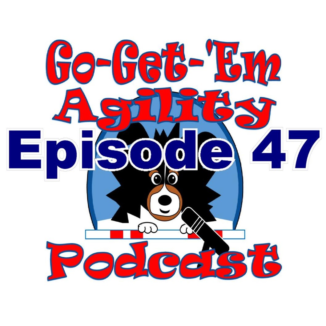 Episode 47: Using Targets in Agility Training