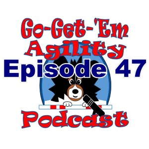 Episode 47: Using Targets in Agility Training
