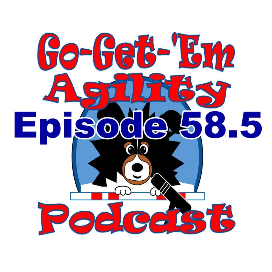 Episode 58.5: Verbal Cue Memorization