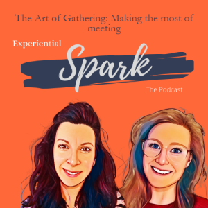 #5 - The Art of Gathering: Making the most of meeting