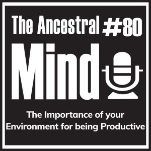 #80 – The Importance of your Environment for being Productive