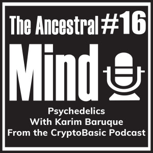 #16 – Psychedelics with Karim Baruque