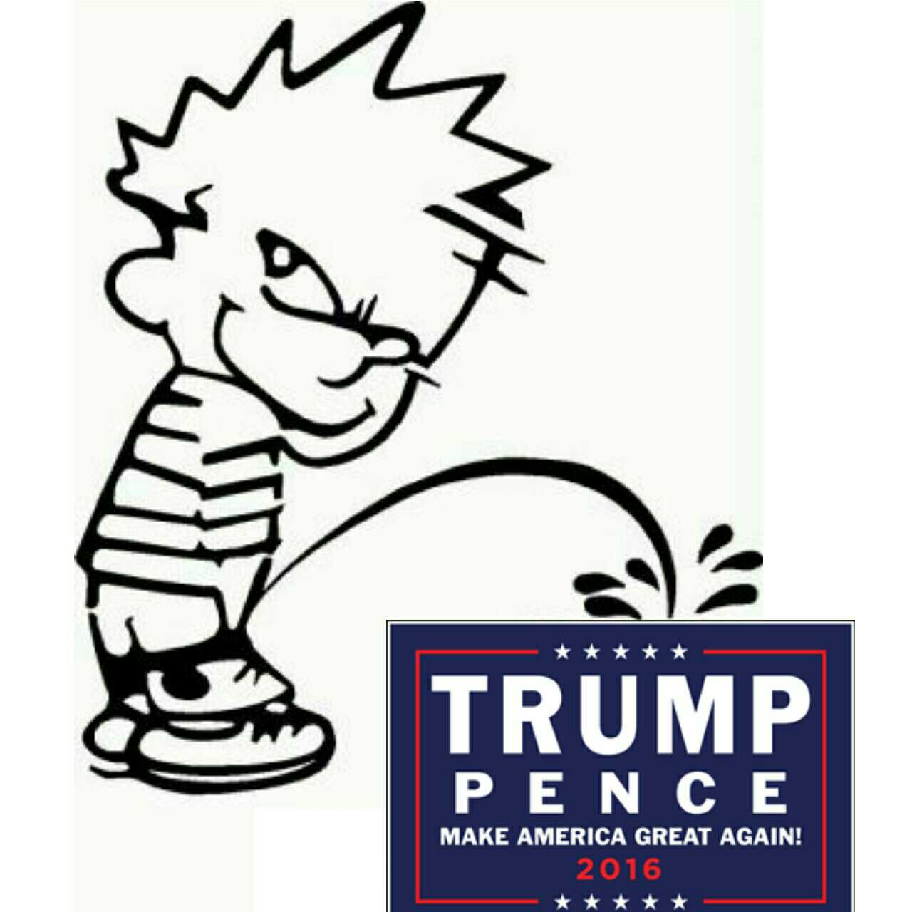 Trump Sign Vandalism