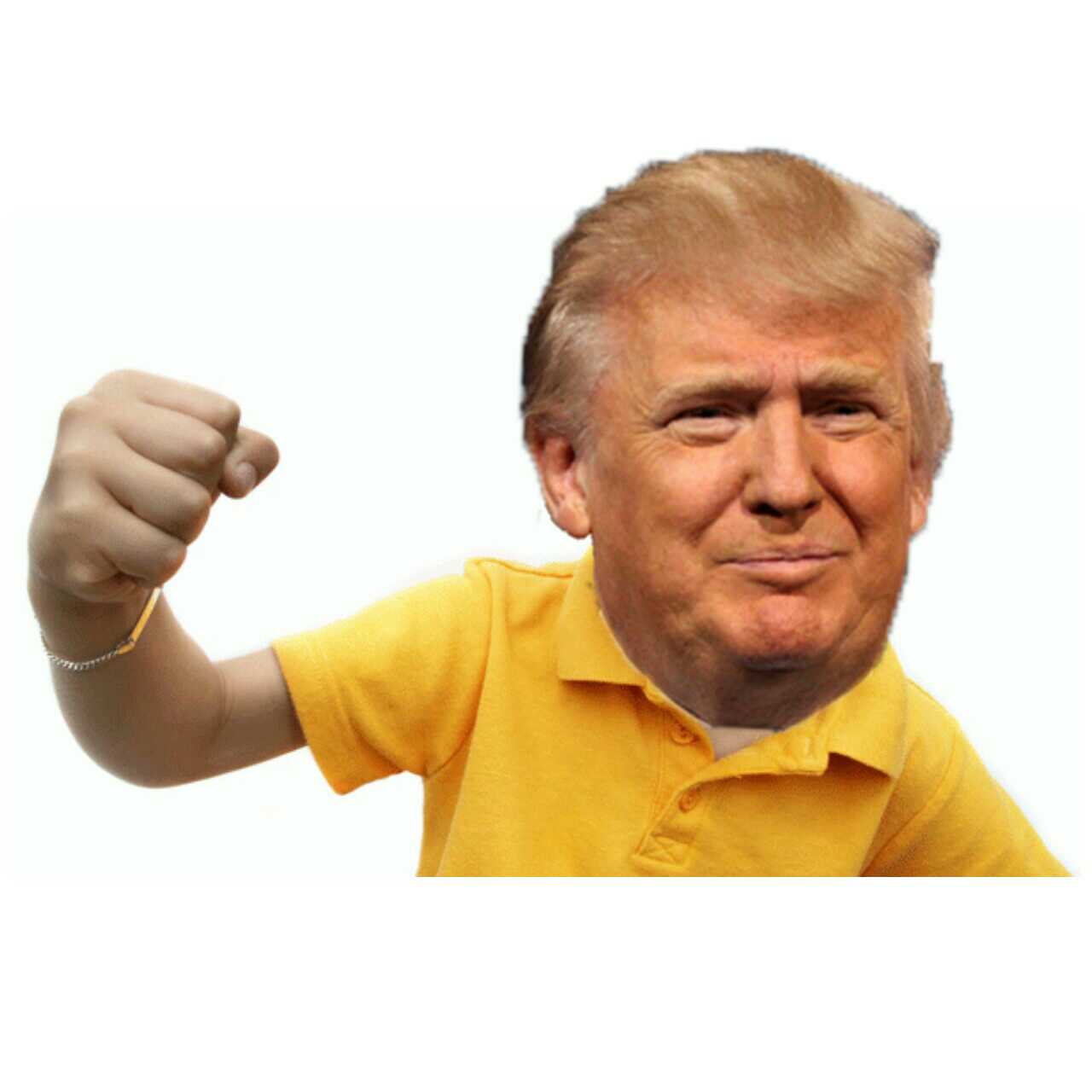Trump Bullying Effect