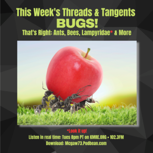 Threads and Tangents 4/18/23 - Bugs