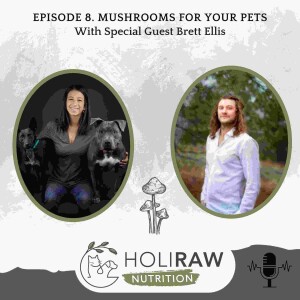 Mushrooms For Your Pets with Brett Ellis - Re-Release