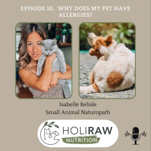 Episode 10. Why Does My Pet Have Allergies?