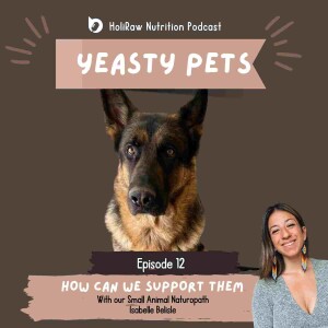 Ep.12 Yeasty Pets - How can we support them