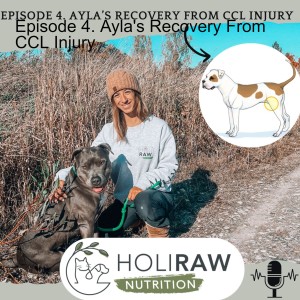 Episode 4. Ayla’s Recovery From CCL Injury