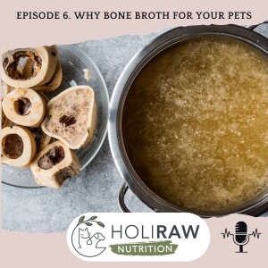 Why Bone Broth For Your Pets