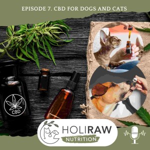 Episode 7. CBD For Dogs and Cats