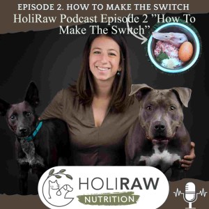 HoliRaw Podcast Episode 2 ”How To Make The Switch”