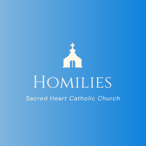 Fr. Joseph’s Homily 12/11/2022