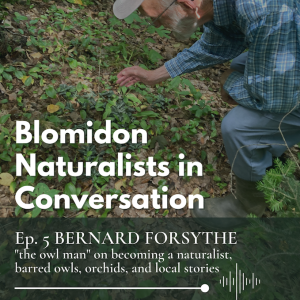 Episode 5: Bernard Forsythe