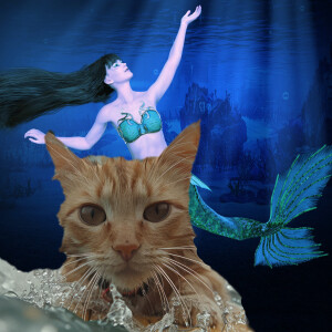 COMEDY CAT! Professional mermaids. Steve Martin.