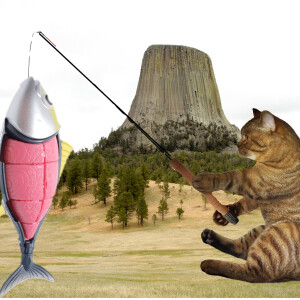 Cat Comedy! Tuna expert Julian Clock and Kitty Fruit Juice.  Cat becomes school crossing guard.