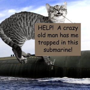 Cat Comedy! Should cats be vegetarian? Guest:  Submarine cat and explorer.