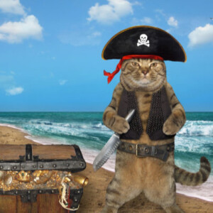 Cat Comedy! Cat Pirates of the Caribbean.