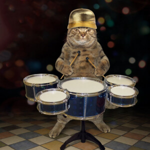 Cat Comedy! Rock Musician Franklin Roosevelt and kitty drummer Harry Truman.