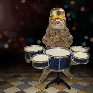Comedy Cat podcast. Life with Bucky.  Guests: world-renown musician Franklin Roosevelt and drummer Kitty Harry Truman.