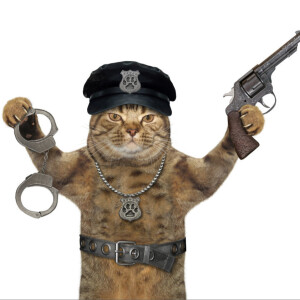 Cat Comedy!  New York City super cop Xavier Guinness and Super Kitty Kop Kojack. Teach your cat to setup your home theater.