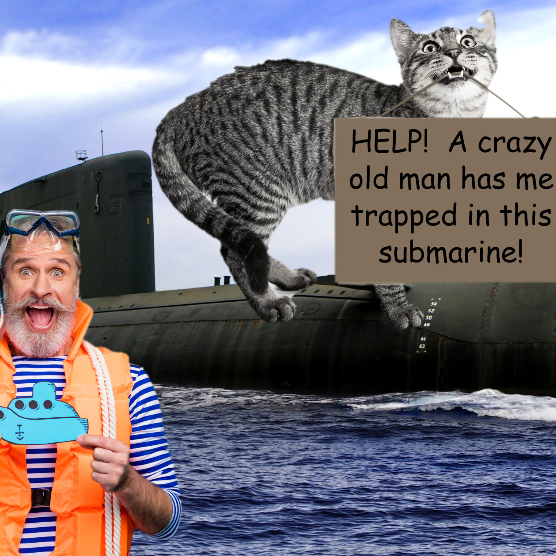Comedy Cat! Life with Bucky - World’s Funniest Cat !
