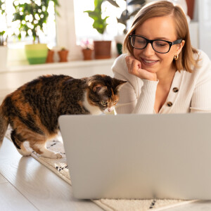 Cat Comedy!  Cat language expert and Kitty Tom Tom. Cat solves bank holdup. Teaching your cat to love $500 kitty carrier.