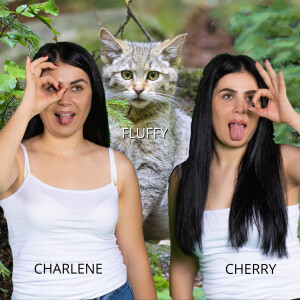 Cat Comedy. Dog trainers, the Charisma Twins and kitty advisor Fluffy.