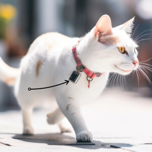 Cat Comedy! Cat Tracking Device inventor Henry Hudson and Kitty Rudy. Teach your cat not to play with bathroom tissue.