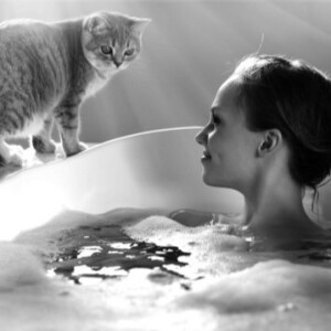 Cat Comedy! Bathtub Cats. Super Models. Feline Psychologist.